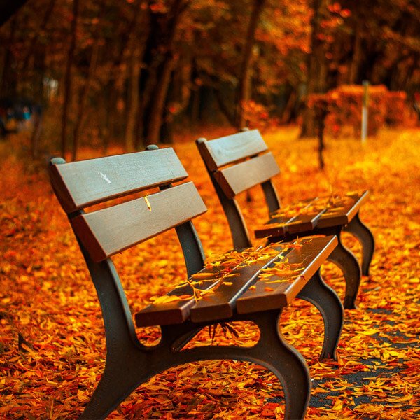 featured-image